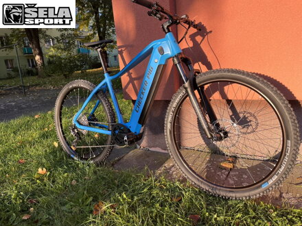 Checker Pig E-MTB Active Pig Diamant Bosch Performance Line CX 625 Wh