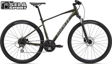 Giant Roam 3 Disc - 2024 tmavě zelená metalíza / SLEVA 30%