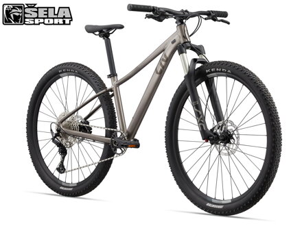 Liv Tempt 29 0 - 2022 Metal / SLEVA 25%