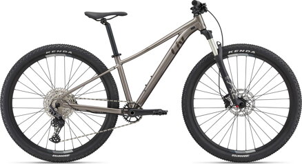 Liv Tempt 29 0 - 2022 Metal / SLEVA 25%