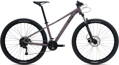 Liv Tempt 29 3 GE- 2022 fialová / SLEVA 25%
